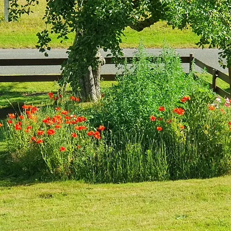 Landleben דירה *